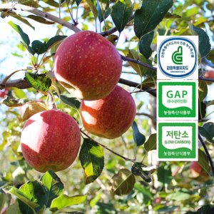 [산지직송]5kg 청정 고랭지 꼭대기농원 사과